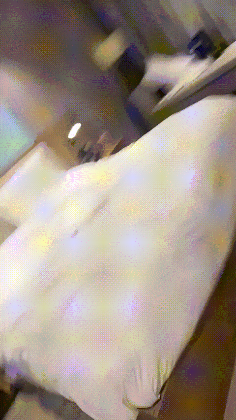 1 (8)_p5 (2).gif
