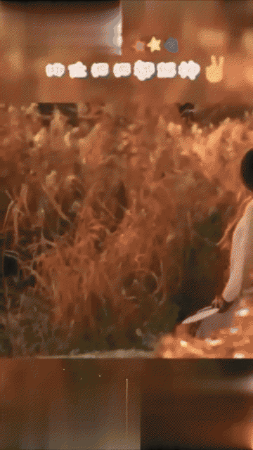 video_80p.gif