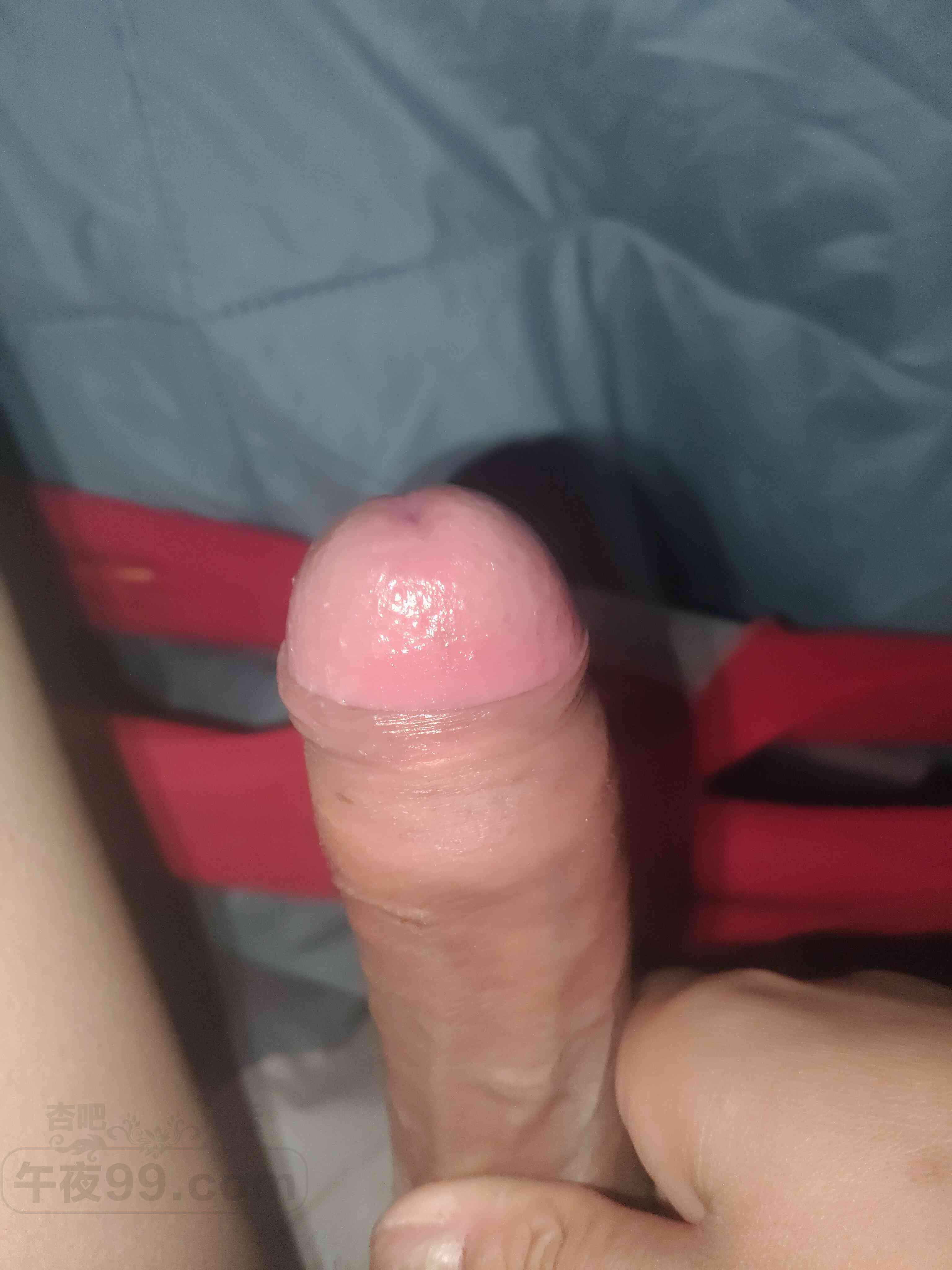 ba22bcd0d666b535d027df1cbe85d2be.jpg