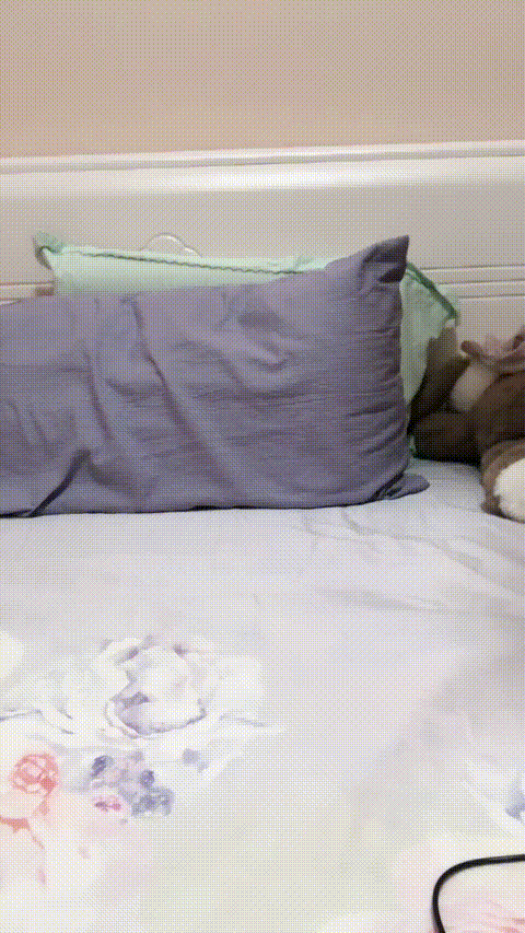 07的苹苹是处女_20260211_121611_p80_compressed.gif