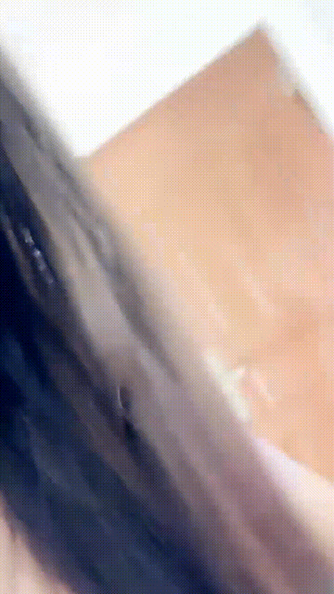 茉莉_20260226_105522_p80_compressed.gif