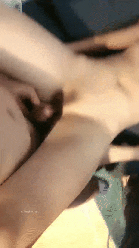 1 (5).gif