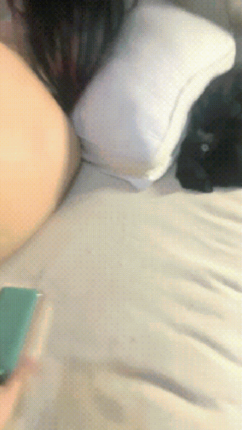 45638103_东北水蜜桃_p20.gif