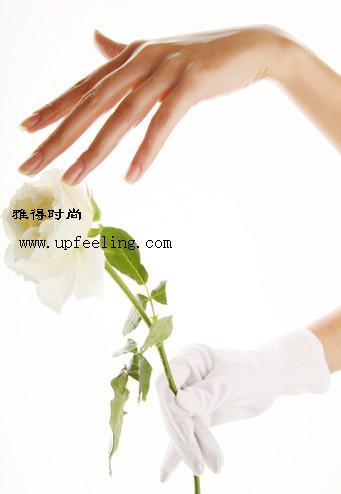纤纤玉手.jpg
