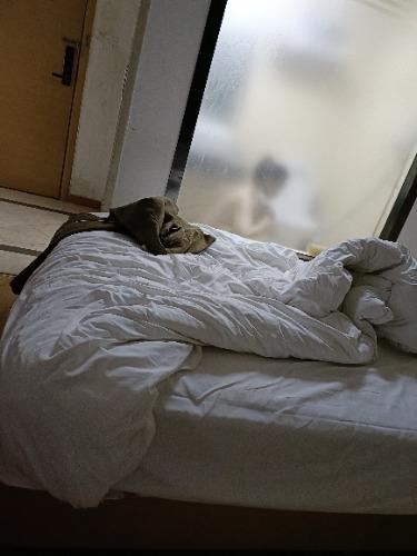 IMG20220511031224.jpg