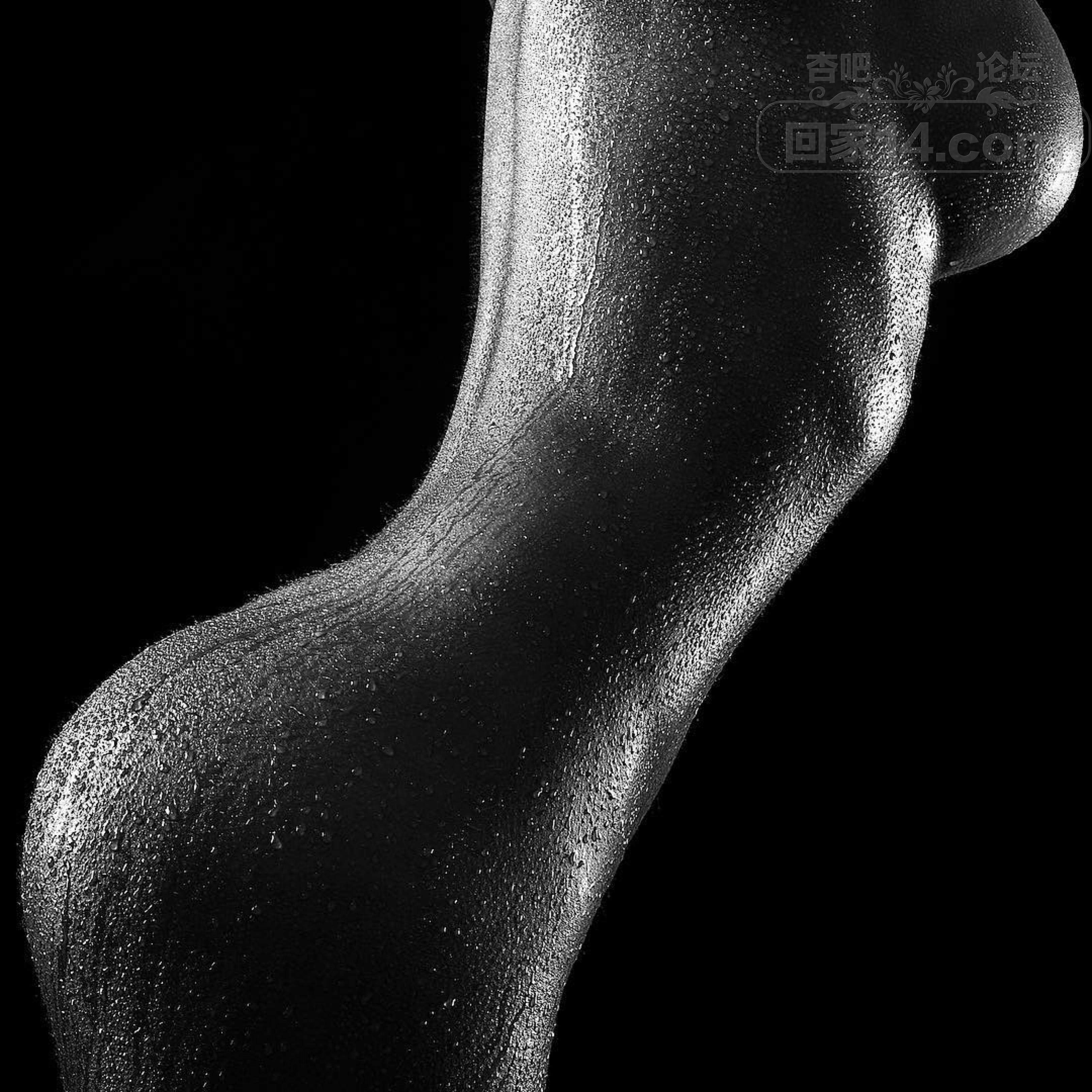 d8e4559e4279fff82007b90ba9374e73.jpeg