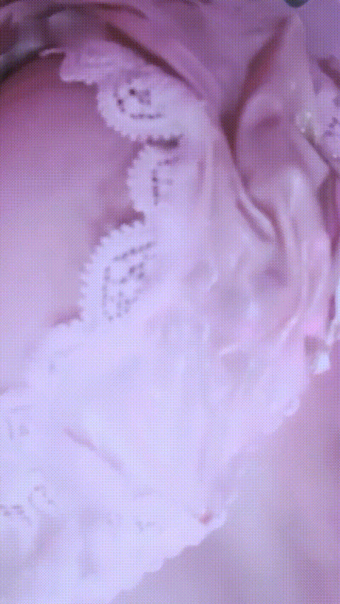 11月25日(7)_p20.gif