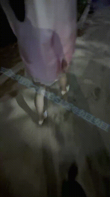 会喷水亲姐姐 带姐姐去吃火锅让她真空出门被刺激的美穴泛滥成灾吃完饭再台球厅把姐姐.gif