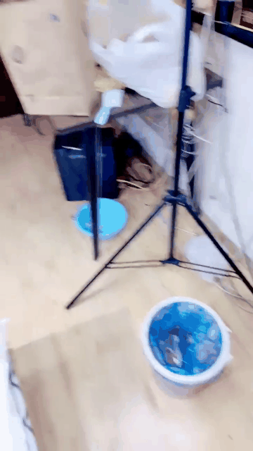 【性感叮叮】母狗眼镜学生妹 无套啪啪猛干 体位无套爆草内射_start1304s_1s.gif.gif