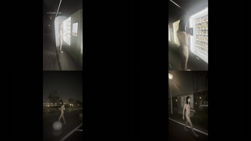 (17)_preview_3.gif