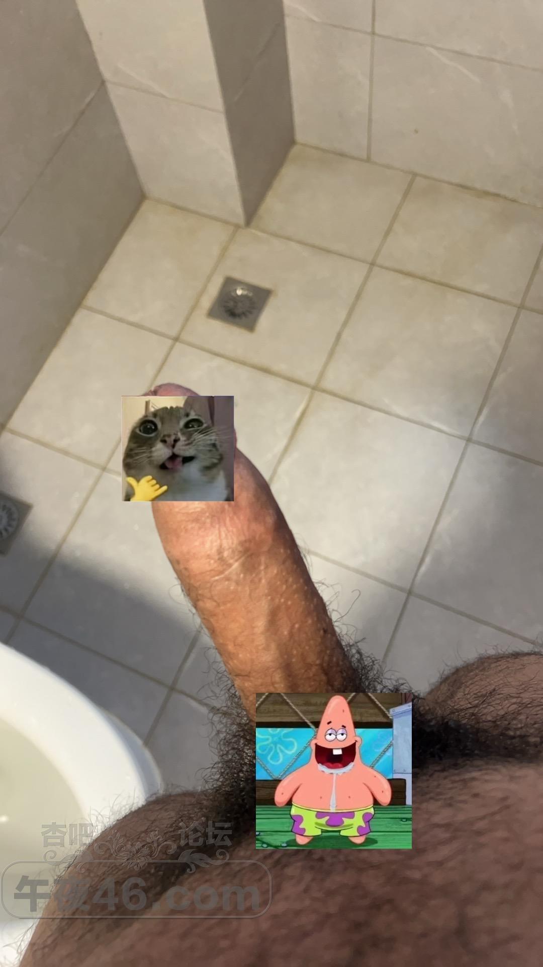 ed27cedf3b42ae9ca27f02ba6263321c.jpeg
