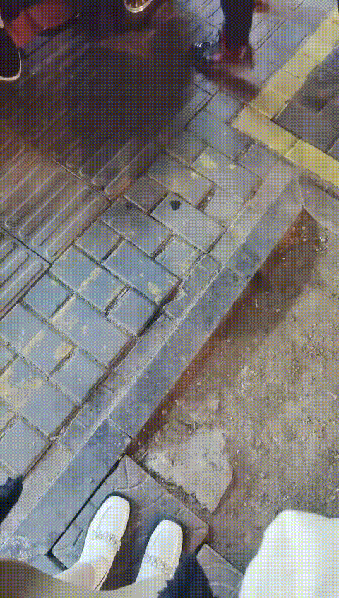 (8)_p20_compressed.gif