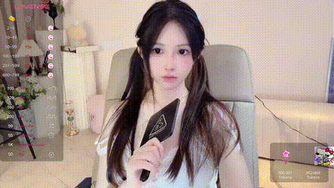 (17)_p5.gif