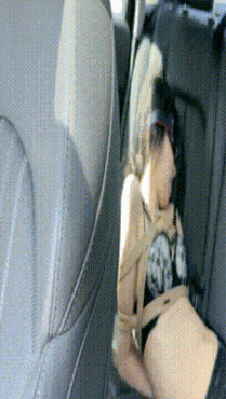 1 (9).gif