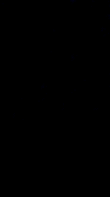 2 (4)_compressed.gif