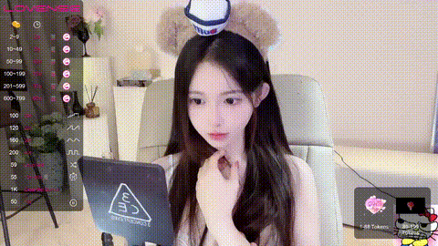 1 (4)_p60.gif