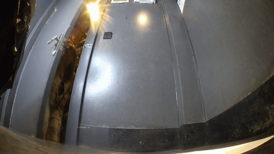 1.gif