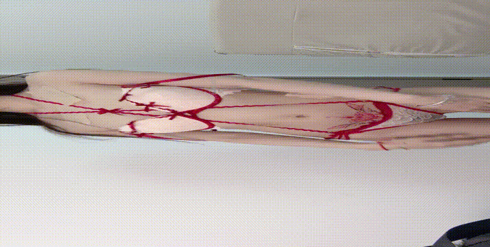 0 (13).gif