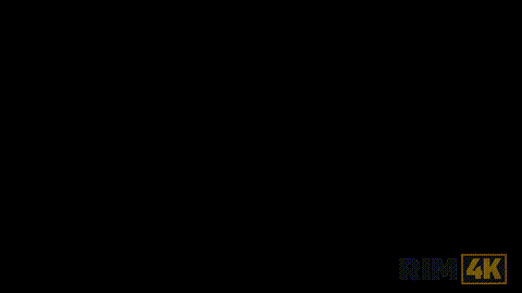 RIM4K. We had fun and I don't know which one was better_p5.gif