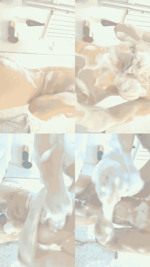 4517381_顾芷夏_02_preview_3_compressed.gif