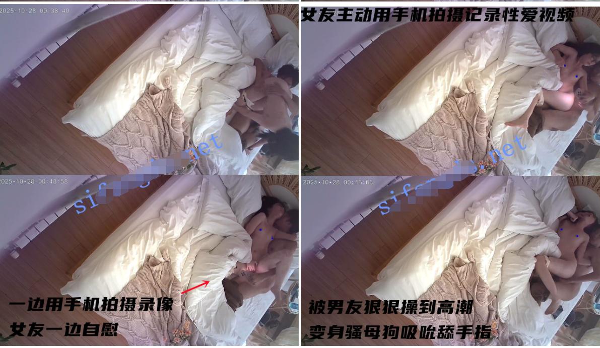 QQ截图20251104200247.png